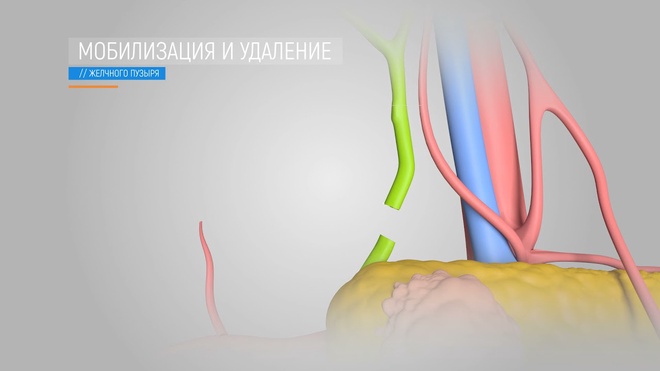 Кадр из работы: Медицинский продукт